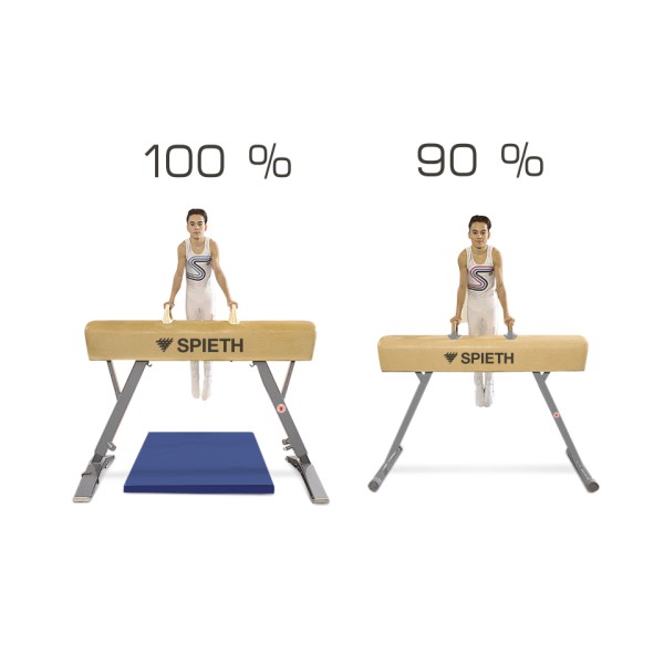 Junior Pommel Horse