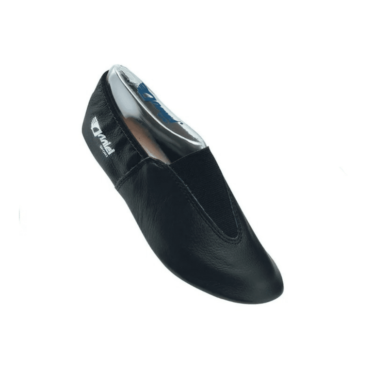 Artistic Shoes